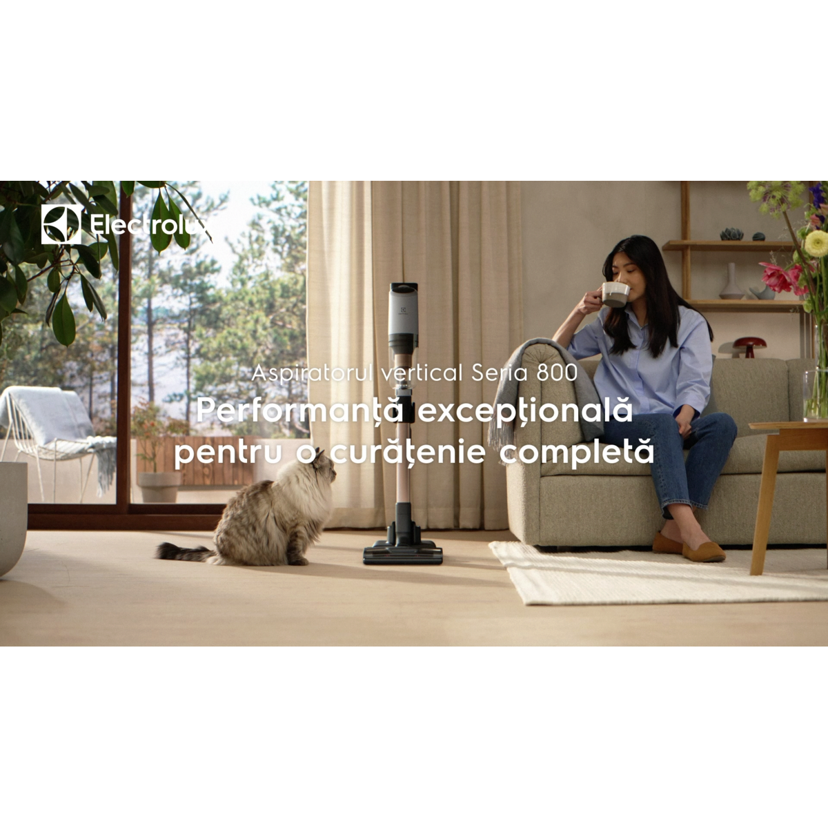 Electrolux - Aspirator vertical fără fir - EP82AB25UG