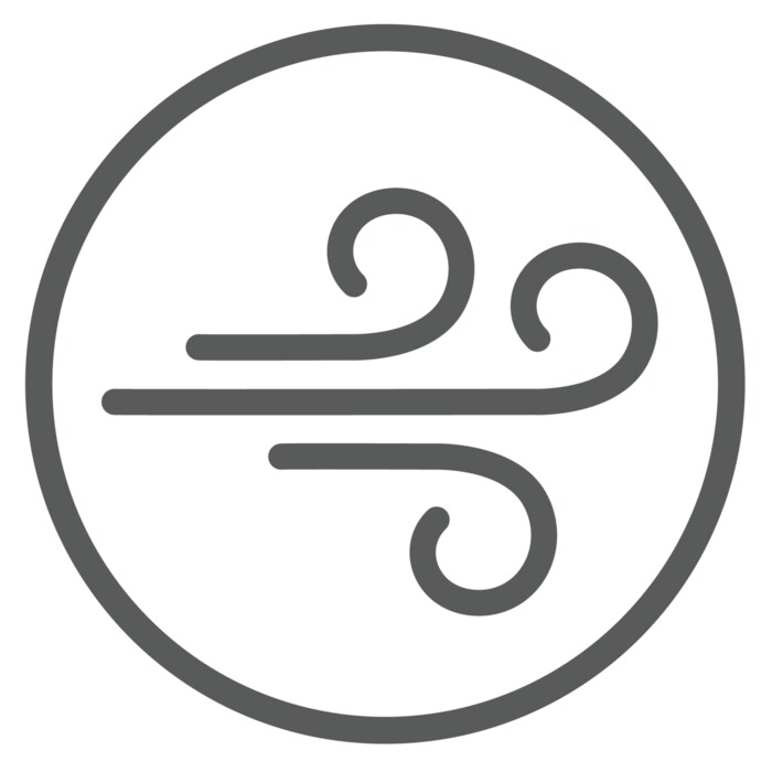 Electrolux - Filtre purificatoare de aer - EFDBRZ4