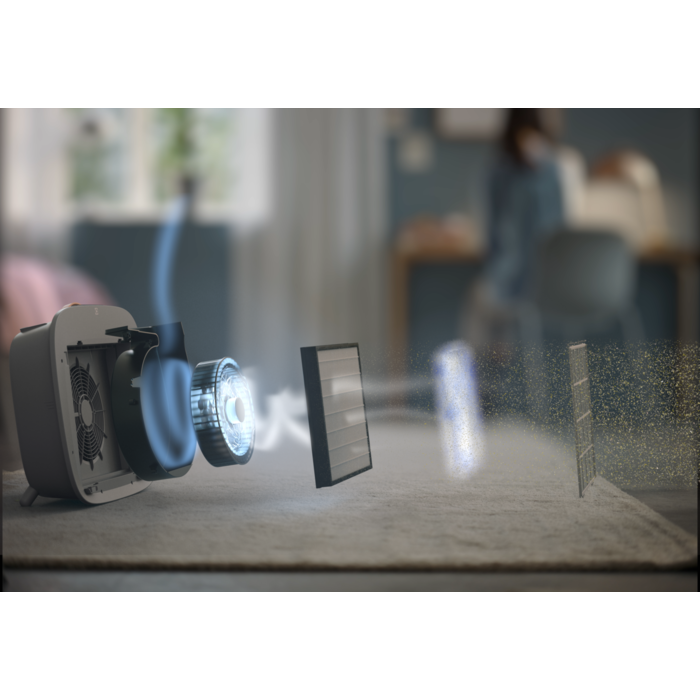 Electrolux - Filtre purificatoare de aer - EFWCAR3