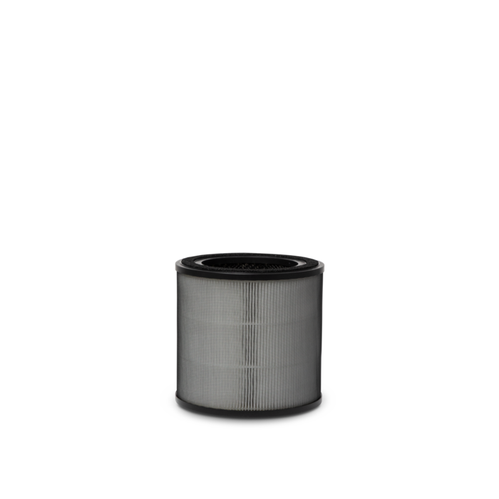 Electrolux - Filtre purificatoare de aer - EFFBRZ2