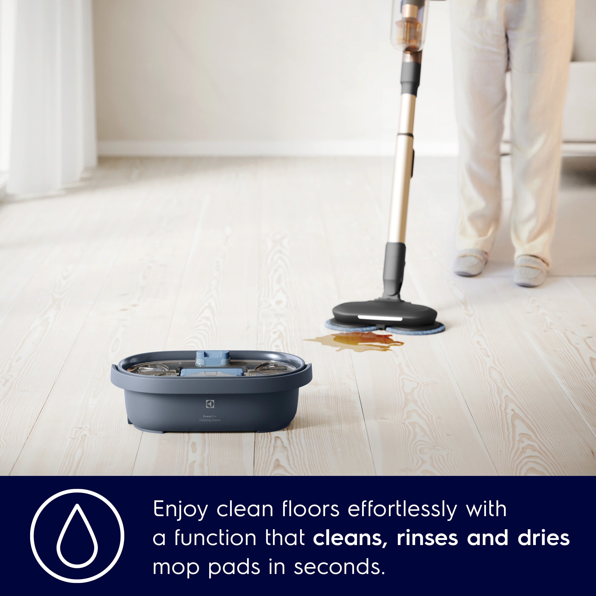 Electrolux - Perii și duze - EPPCS2