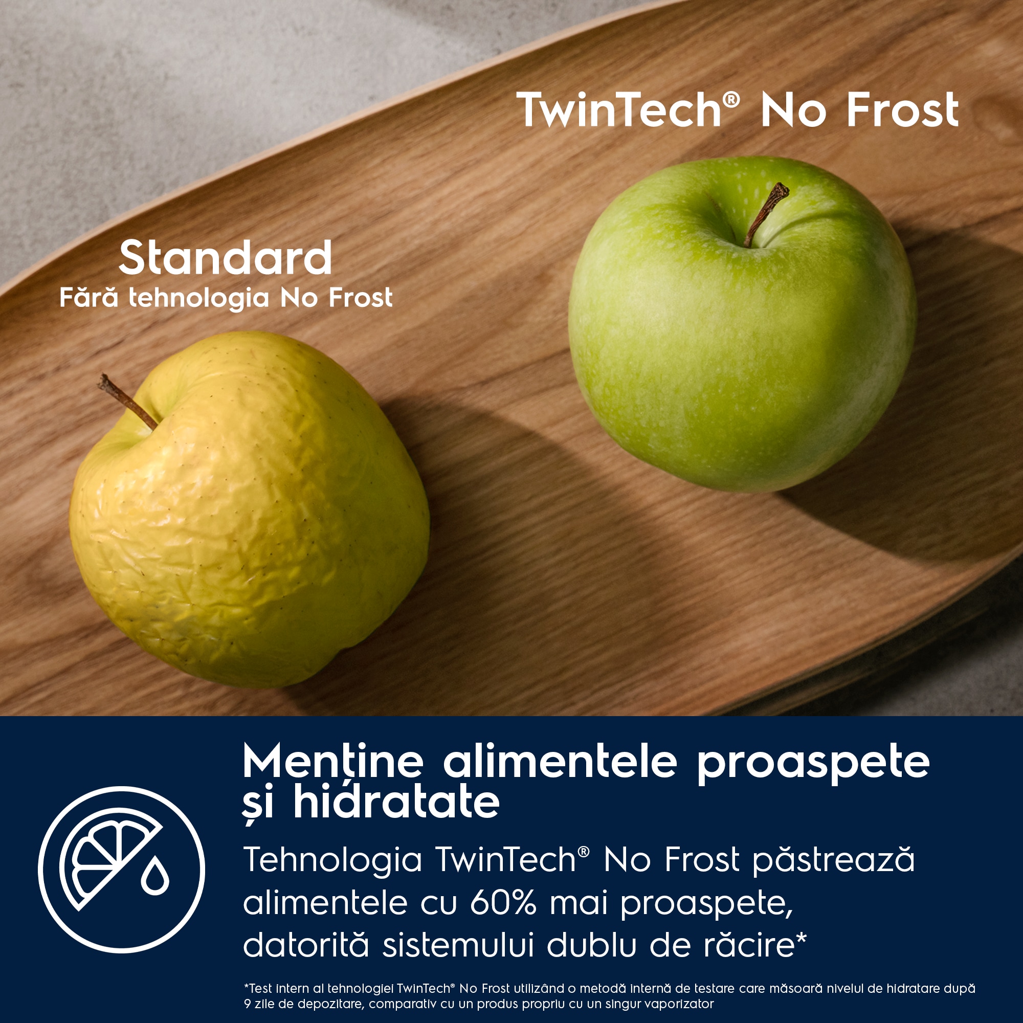 Electrolux - Combină frigorifică independentă - ELT9VE52U0