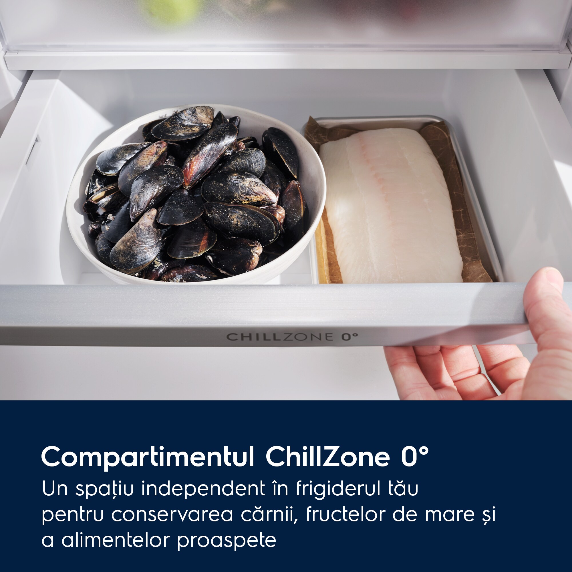 Electrolux - Combină frigorifică independentă - ELT9VE52U0