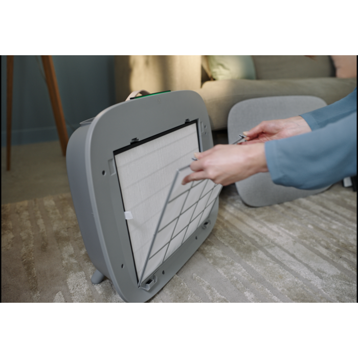 Electrolux - Filtru curatare aer - EFWCLN3