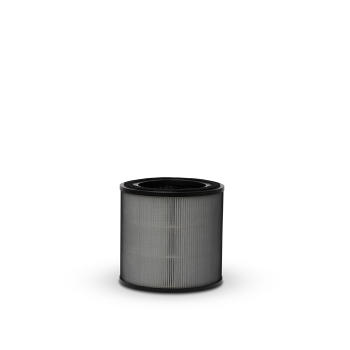 Electrolux - Filtre purificatoare de aer - EFFCLN2EU