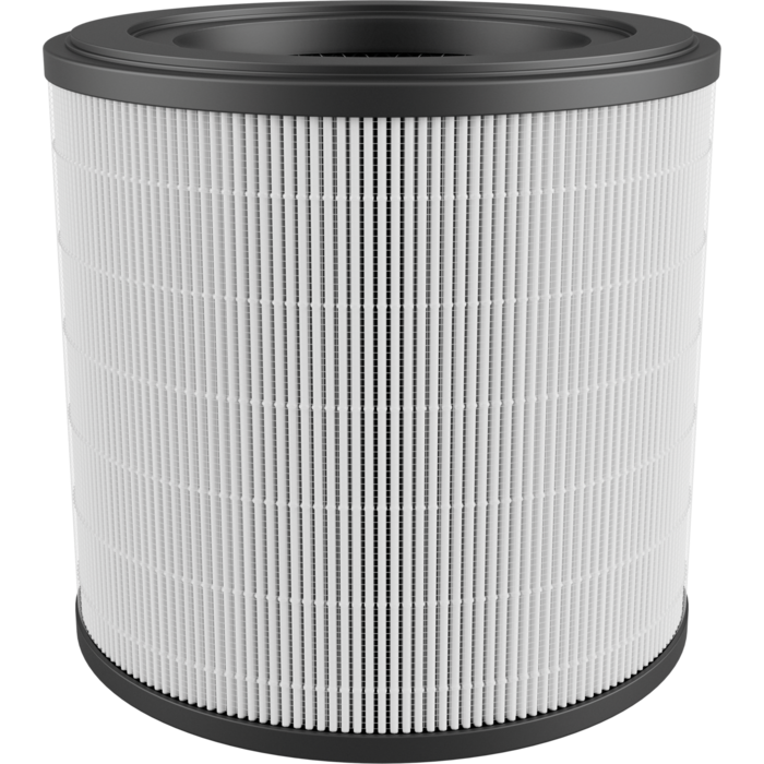 Electrolux - Filtre purificatoare de aer - EFFBRZ2