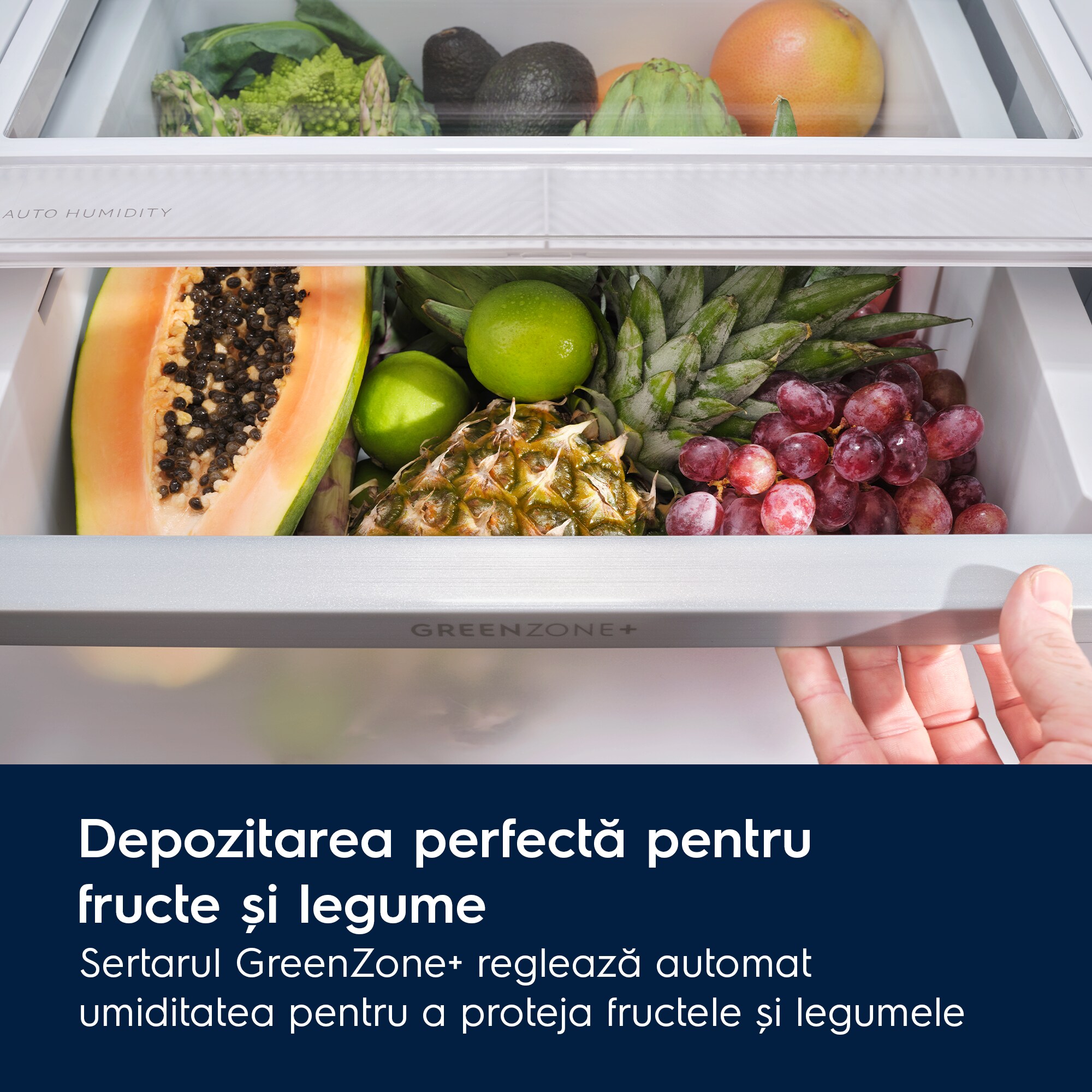Electrolux - Combină frigorifică independentă - LNT8MC36X