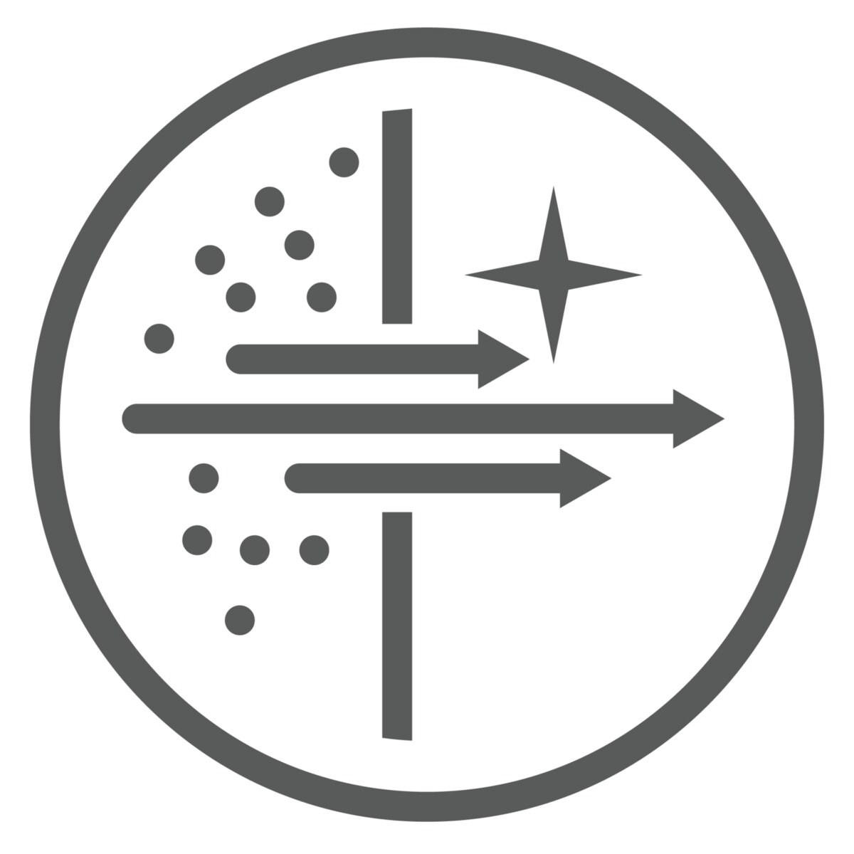 Electrolux - Filtre purificatoare de aer - EFDBRZ4