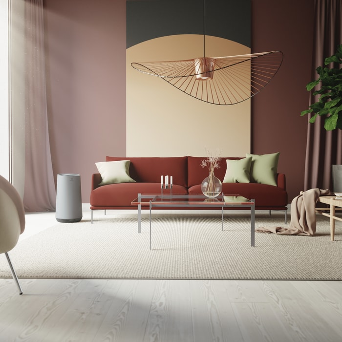 Electrolux - Filtre purificatoare de aer - EFFBRZ2