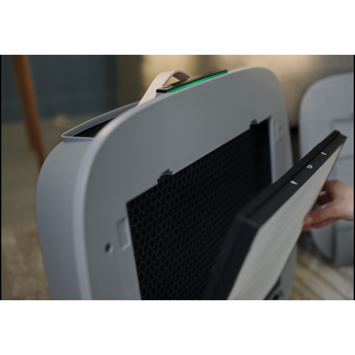 Electrolux - Filtre purificatoare de aer - EFWFRH3