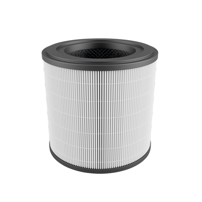 Electrolux - Filtre purificatoare de aer - EFFBRZ2