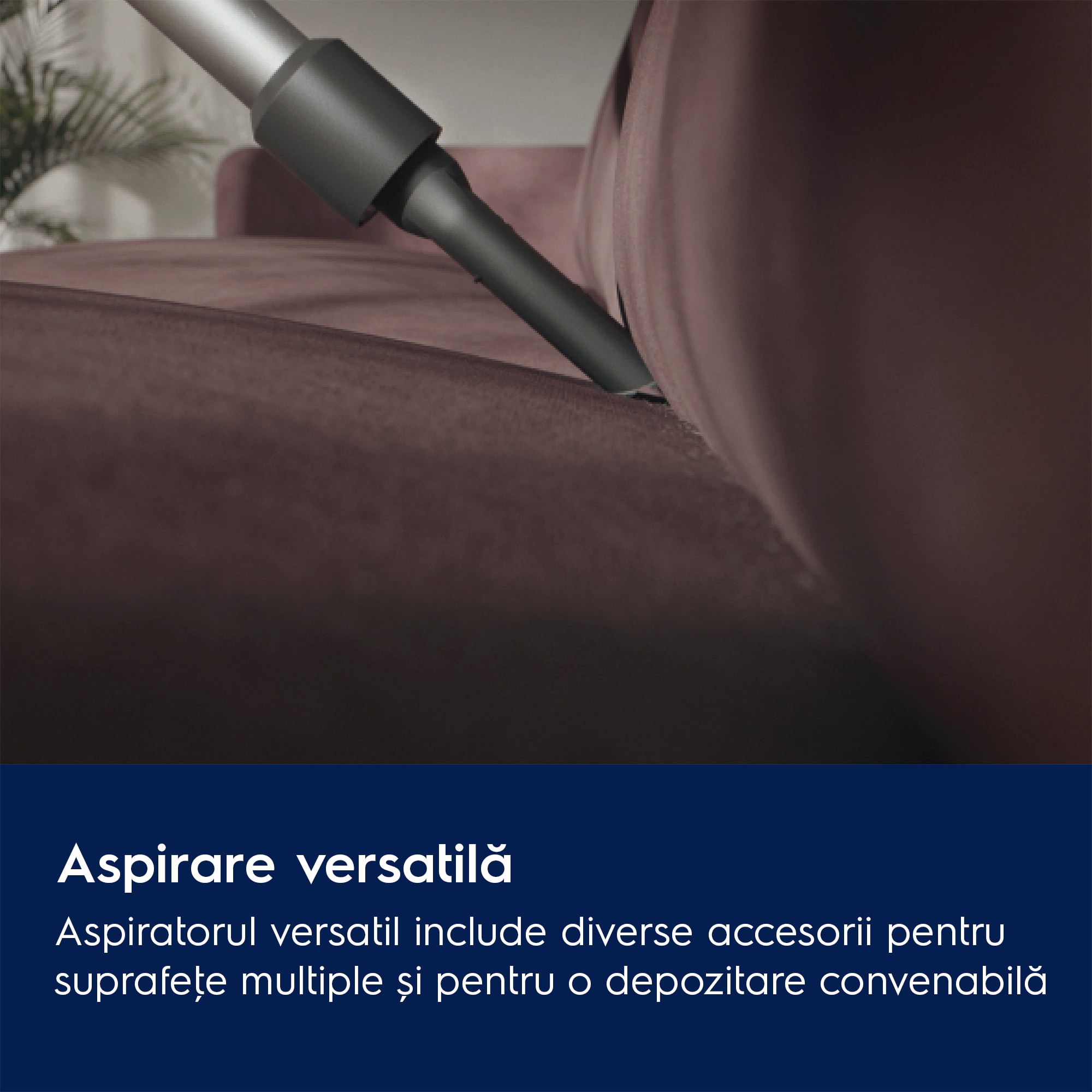 Electrolux - Aspirator vertical fără fir - EP31CB21TG
