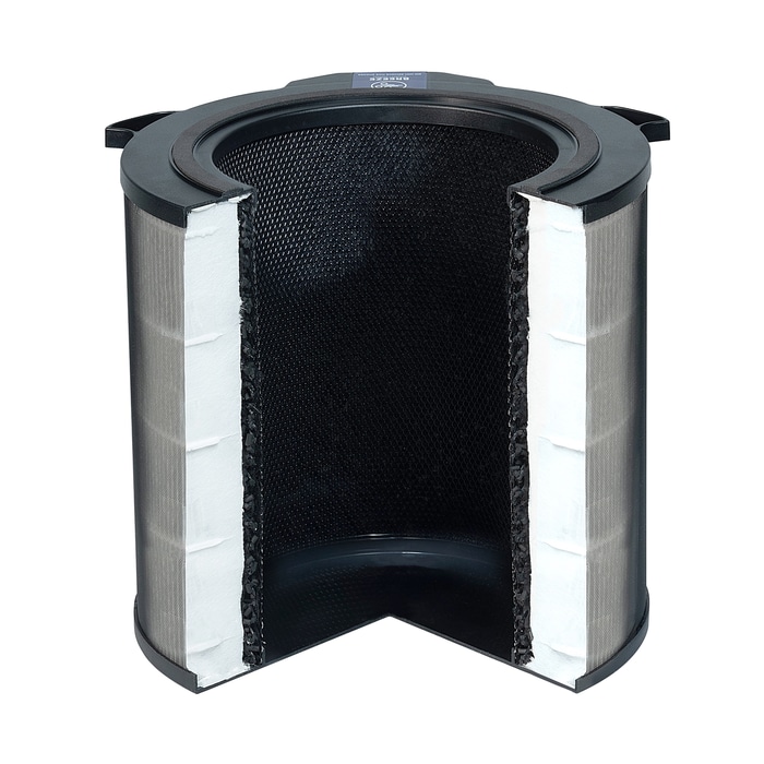 Electrolux - Filtre purificatoare de aer - EFDBRZ4