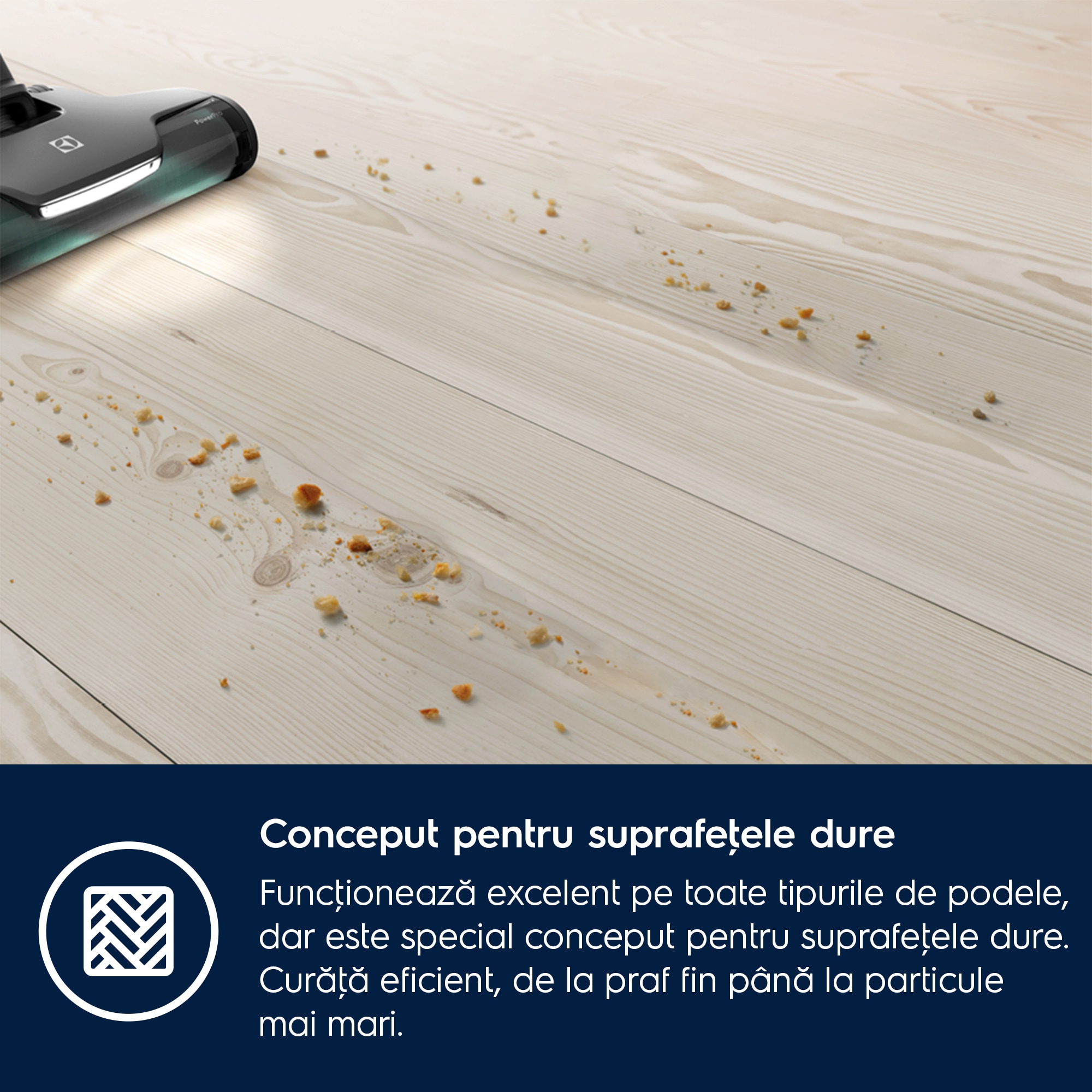 Electrolux - Perii și duze - ZE137