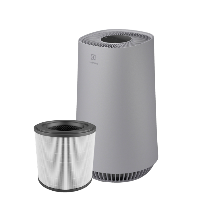 Electrolux - Filtre purificatoare de aer - EFFBRZ2