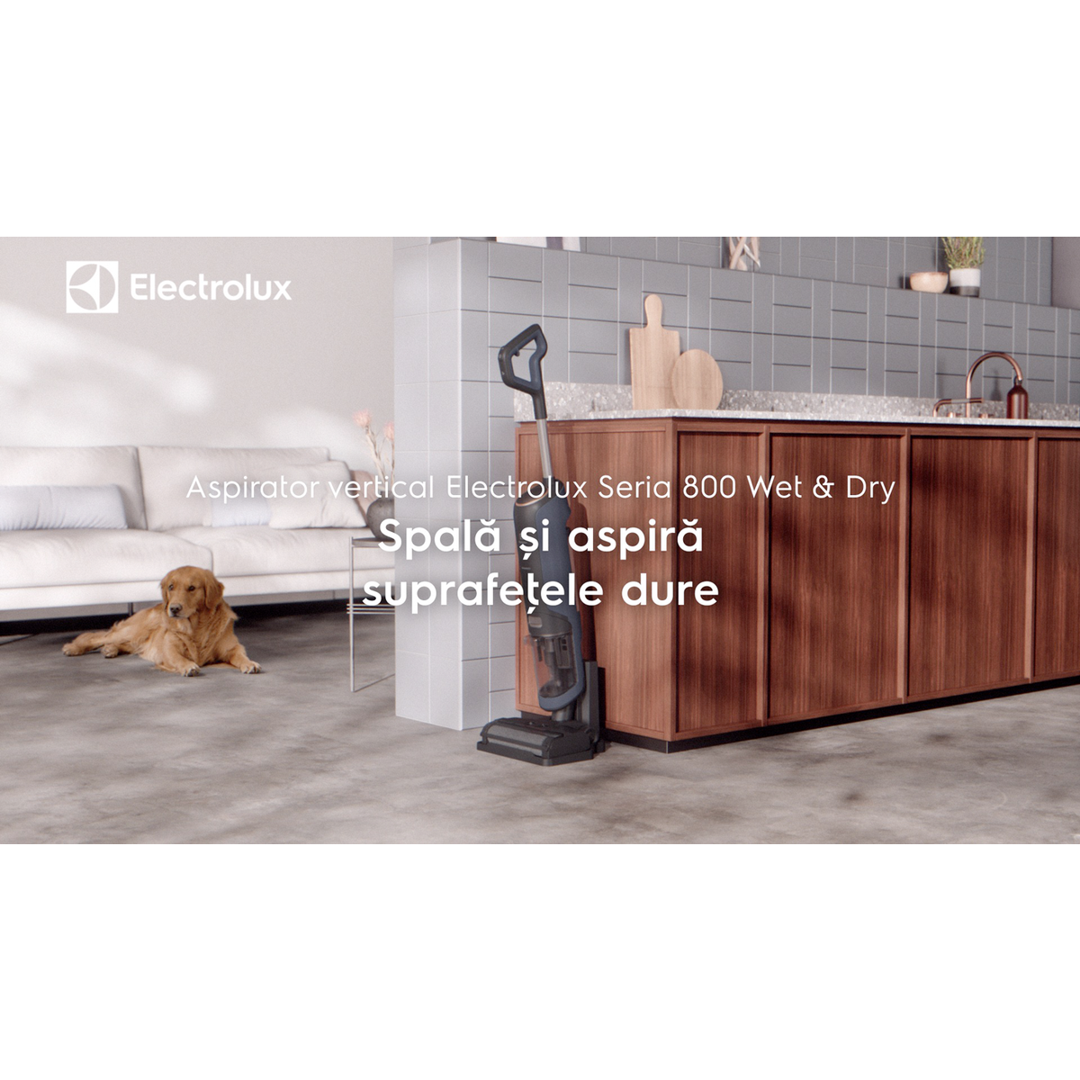 Electrolux - Aspiratoare verticale Wet & Dry - EW81U3DB