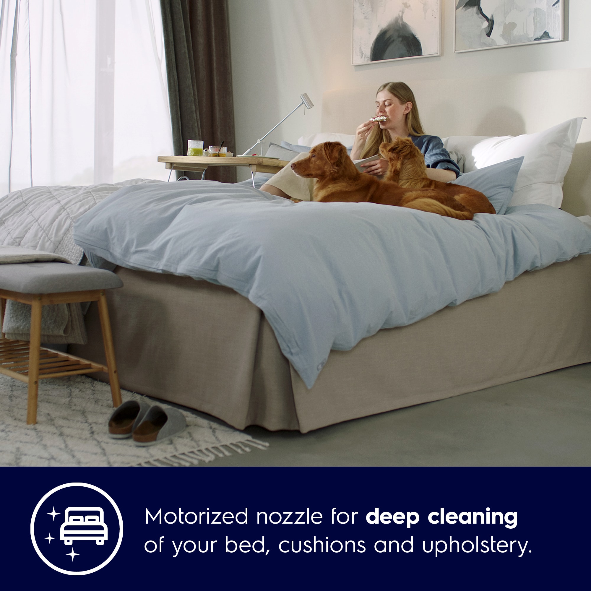 Electrolux - Perii și duze - ZE139A