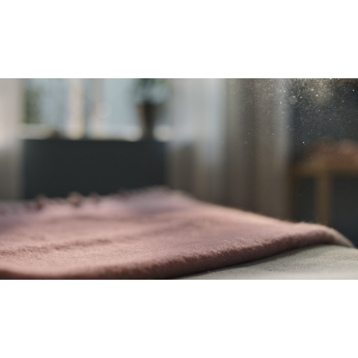 Electrolux - Filtru curatare aer - EFWCLN3