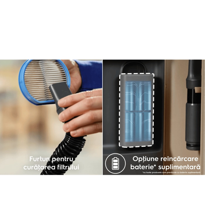 *nu toate produsele sunt prevăzute cu baterie suplimentară Furtun pentru curăţarea filtrului Opţiune reîncărcare baterie* suplimentară