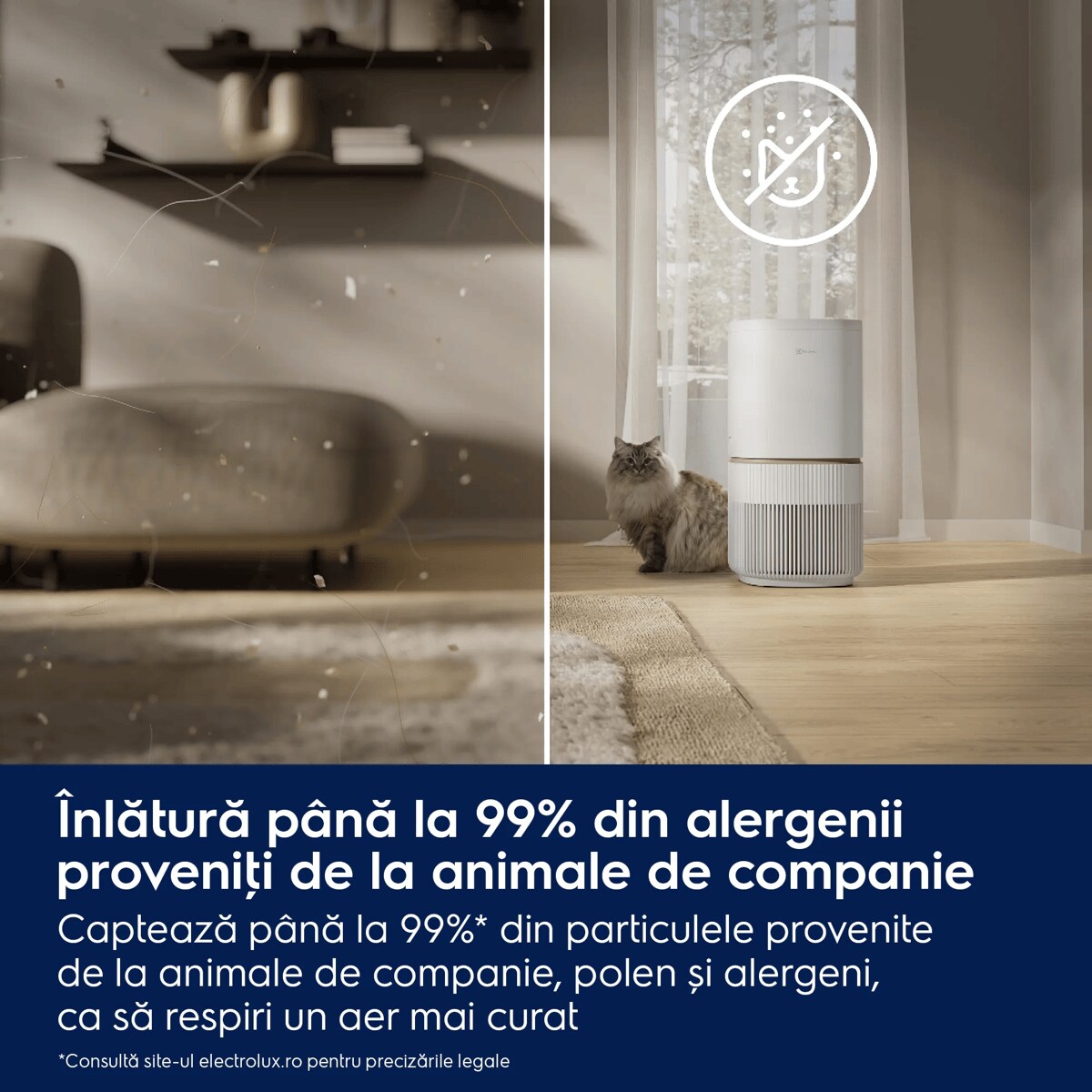 Înlătură până la 99% din alergenii proveniţi de la animale de companie Captează până la 99%* din particulele provenite de la animale de companie, polen și alergeni, ca să respiri un aer mai curat    *Consultă site-ul electrolux.ro pentru precizările legale