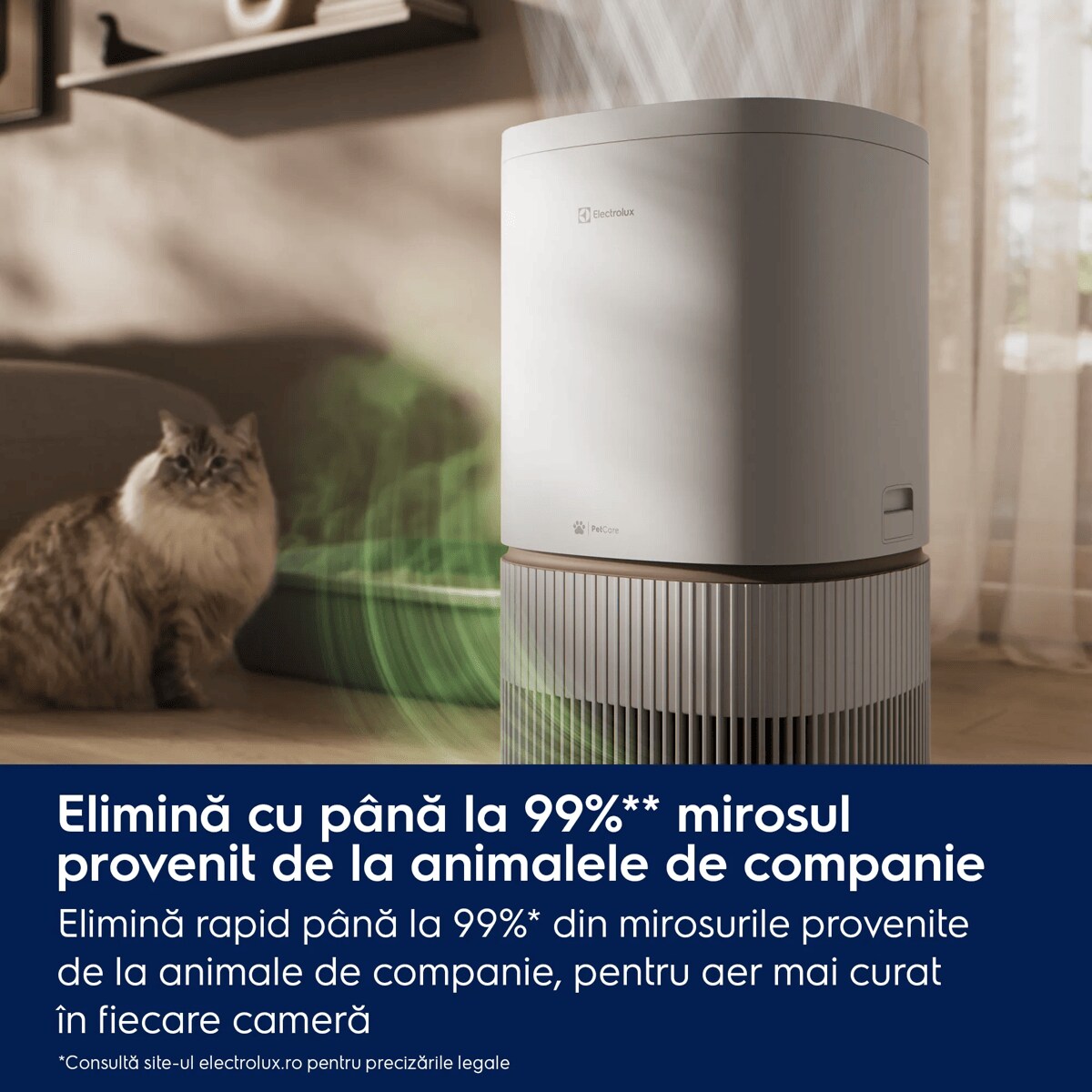 Elimină cu până la 99%** mirosul provenit de la animalele de companie Elimină rapid până la 99%* din mirosurile provenite de la animale de companie, pentru aer mai curat în fiecare cameră    *Consultă site-ul electrolux.ro pentru precizările legale
