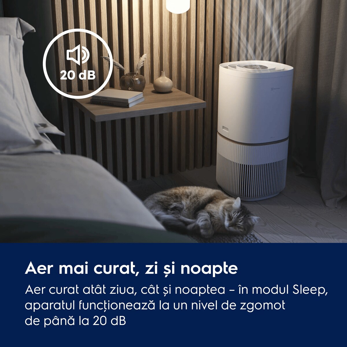 Aer mai curat, zi și noapte Aer curat atât ziua, cât și noaptea – în modul Sleep, aparatul funcţionează la un nivel de zgomot de până la 20 dB