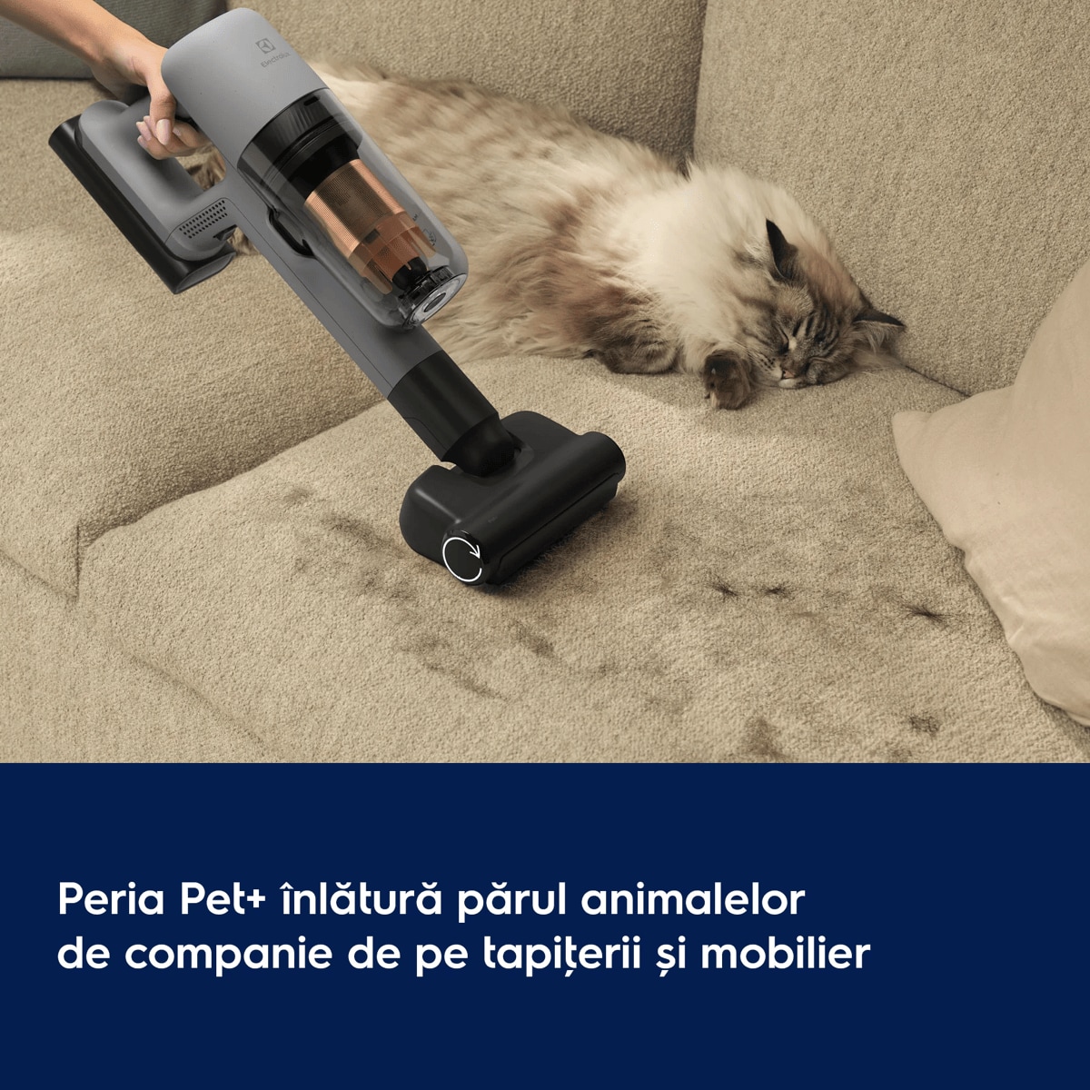 Peria Pet+ înlătură părul animalelor de companie de pe tapiţerii și mobilier