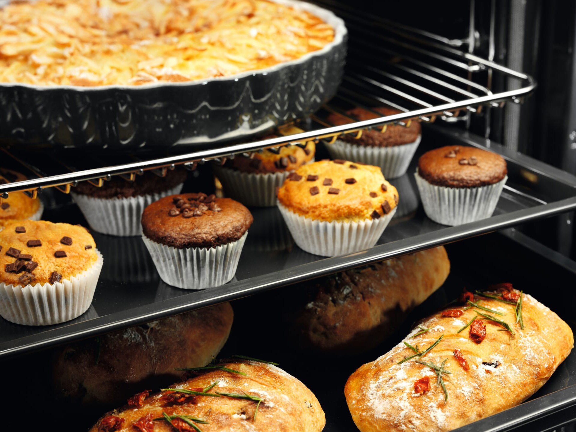 panificatie in cuptor