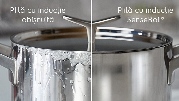 senzor SenseBoil