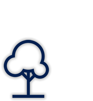 Pădurea Electrolux Pădurea Electrolux