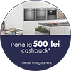 Pana la 500 de lei inapoi Pana la 500 de lei inapoi